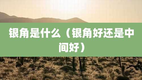银角是什么(银角好还是中间好)