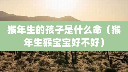 猴年生的孩子是什么命(猴年生猴宝宝好不好)