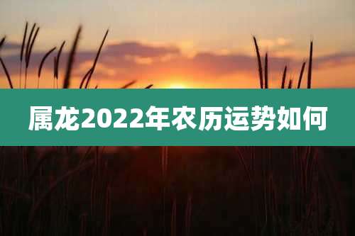 属龙2022年农历运势如何
