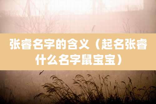 张睿名字的含义(起名张睿什么名字鼠宝宝)