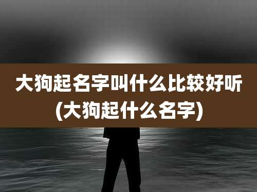 大狗起名字叫什么比较好听(大狗起什么名字)