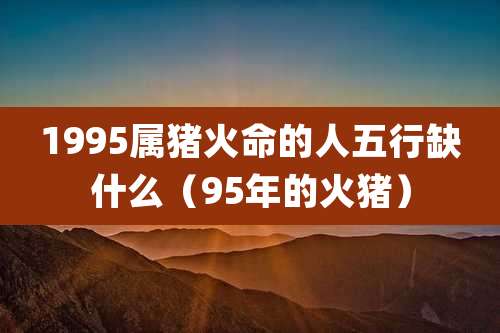 1995属猪火命的人五行缺什么(95年的火猪)