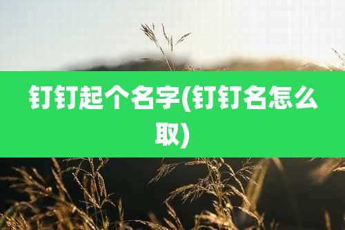 钉钉起个名字(钉钉名怎么取)