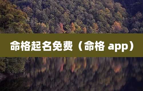 命格起名免费（命格 app）