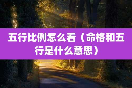 五行比例怎么看(命格和五行是什么意思)