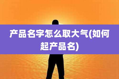 产品名字怎么取大气(如何起产品名)