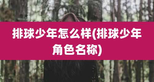 排球少年怎么样(排球少年角色名称)