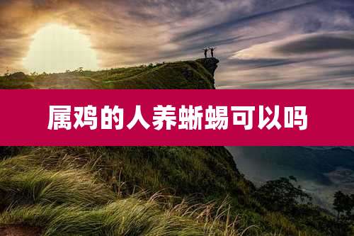 属鸡的人养蜥蜴可以吗