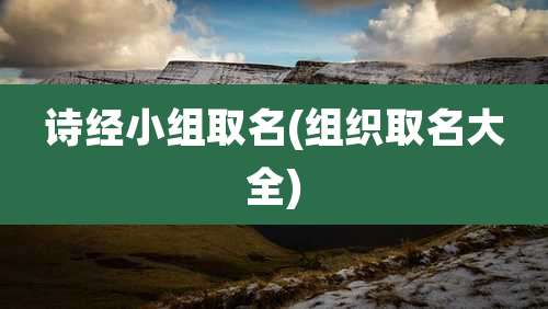 诗经小组取名(组织取名大全)