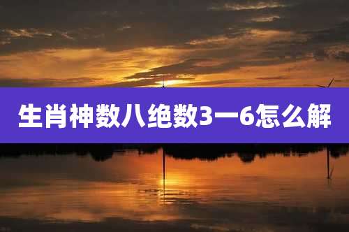生肖神数八绝数3一6怎么解