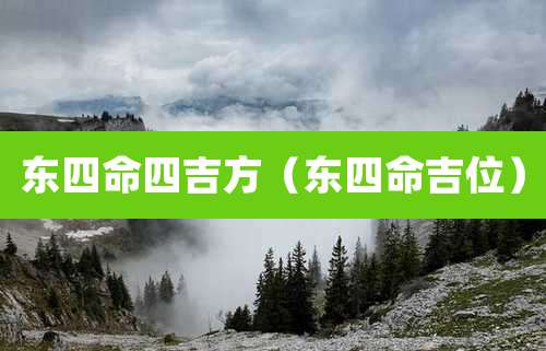 东四命四吉方(东四命吉位)