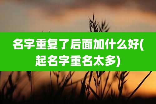 名字重复了后面加什么好(起名字重名太多)