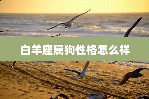 白羊座属狗性格怎么样