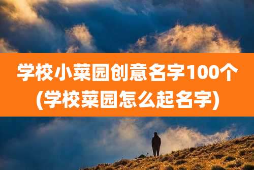 学校小菜园创意名字100个(学校菜园怎么起名字)