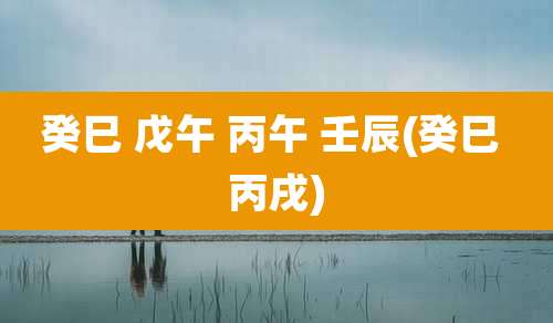 癸巳 戊午 丙午 壬辰(癸巳 丙戌)