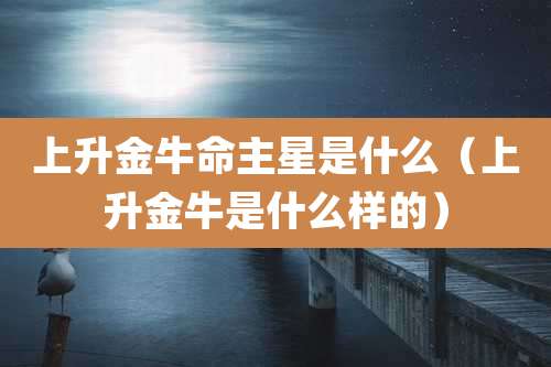 上升金牛命主星是什么（上升金牛是什么样的）