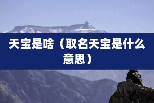 天宝是啥(取名天宝是什么意思)