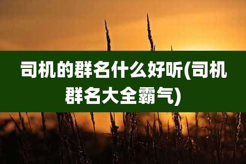 司机的群名什么好听(司机群名大全霸气)