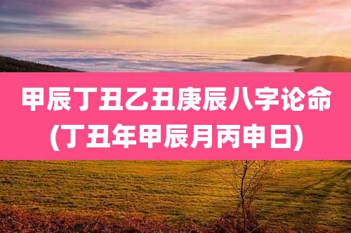 甲辰丁丑乙丑庚辰八字论命(丁丑年甲辰月丙申日)