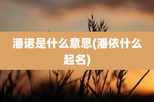 潘诺是什么意思(潘依什么起名)