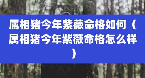 属相猪今年紫薇命格如何(属相猪今年紫薇命格怎么样)