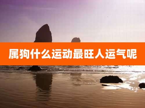 属狗什么运动最旺人运气呢