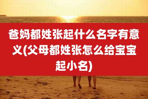 爸妈都姓张起什么名字有意义(父母都姓张怎么给宝宝起小名)