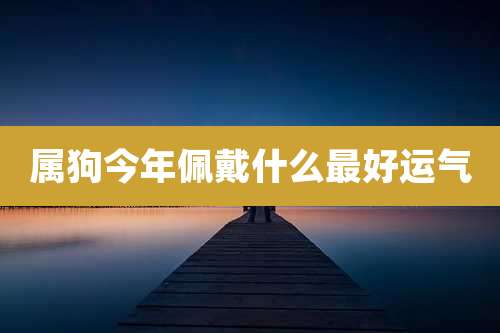 属狗今年佩戴什么最好运气