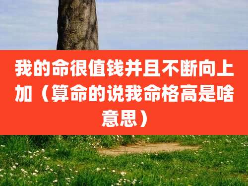 我的命很值钱并且不断向上加(算命的说我命格高是啥意思)