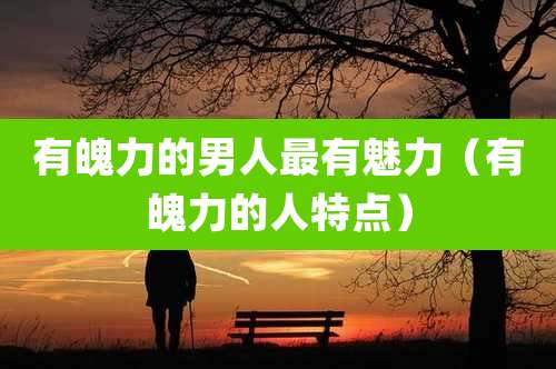有魄力的男人最有魅力（有魄力的人特点）