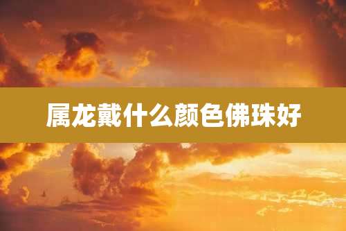 属龙戴什么颜色佛珠好
