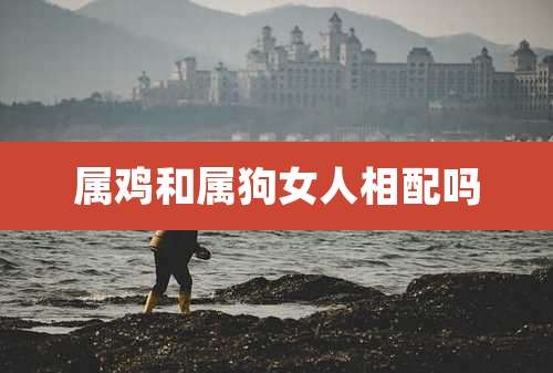 属鸡和属狗女人相配吗