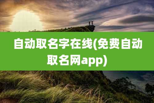 自动取名字在线(免费自动取名网app)