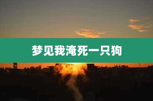 梦见我淹死一只狗