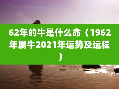 62年的牛是什么命(1962年属牛2021年运势及运程)