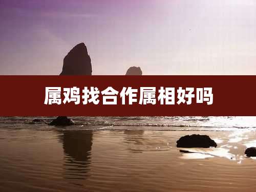 属鸡找合作属相好吗