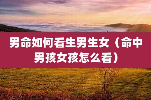 男命如何看生男生女（命中男孩女孩怎么看）