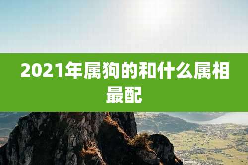 2021年属狗的和什么属相最配