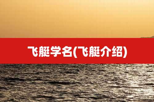 飞艇学名(飞艇介绍)