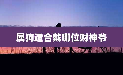 属狗适合戴哪位财神爷