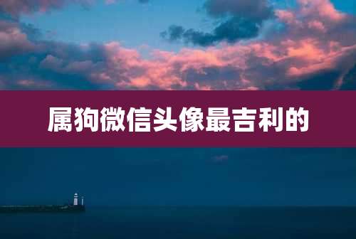 属狗微信头像最吉利的