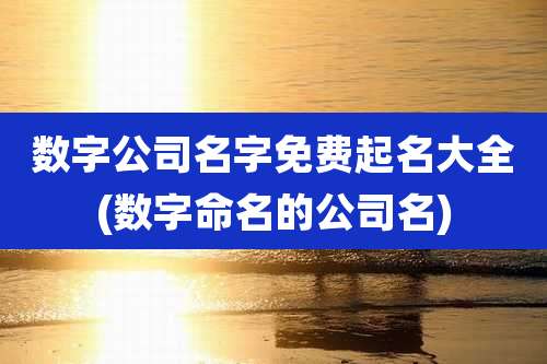 数字公司名字免费起名大全(数字命名的公司名)