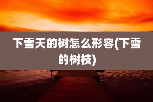 下雪天的树怎么形容(下雪的树枝)