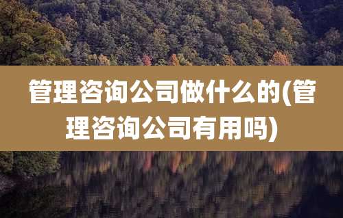 管理咨询公司做什么的(管理咨询公司有用吗)