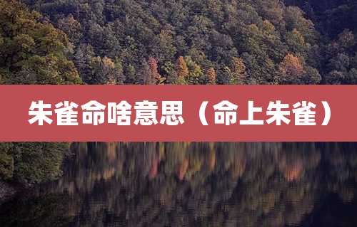 朱雀命啥意思（命上朱雀）