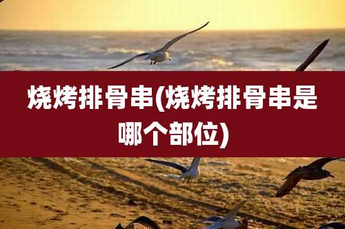 烧烤排骨串(烧烤排骨串是哪个部位)