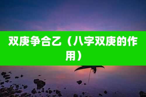 双庚争合乙（八字双庚的作用）