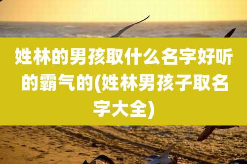 姓林的男孩取什么名字好听的霸气的(姓林男孩子取名字大全)