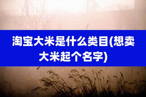淘宝大米是什么类目(想卖大米起个名字)