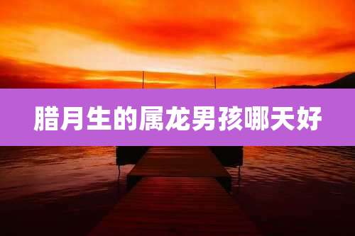 腊月生的属龙男孩哪天好